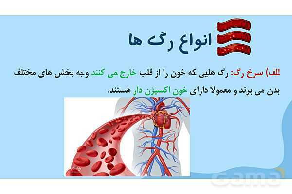 پاور درس 10 علوم چهارم | بدن ما- پیش نمایش