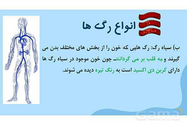پاور درس 10 علوم چهارم | بدن ما- پیش نمایش