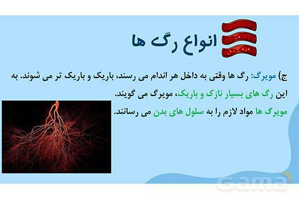 پاور درس 10 علوم چهارم | بدن ما- پیش نمایش