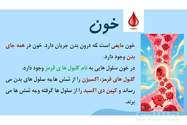 پاور درس 10 علوم چهارم | بدن ما- پیش نمایش