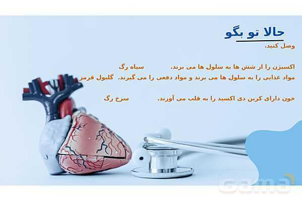 پاور درس 10 علوم چهارم | بدن ما- پیش نمایش