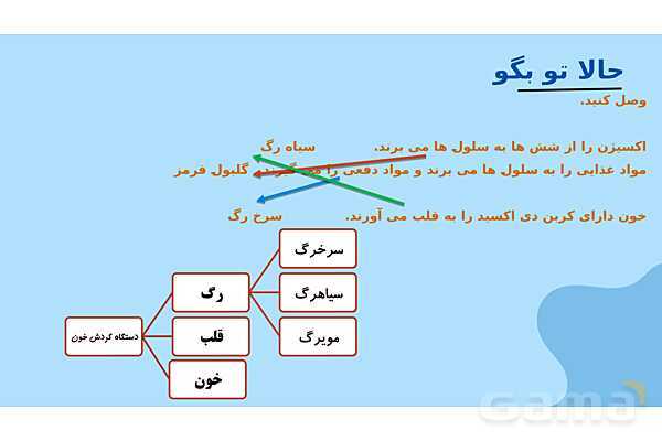 پاور درس 10 علوم چهارم | بدن ما- پیش نمایش