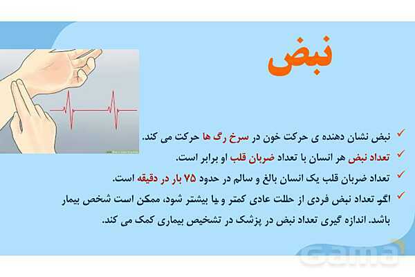 پاور درس 10 علوم چهارم | بدن ما- پیش نمایش