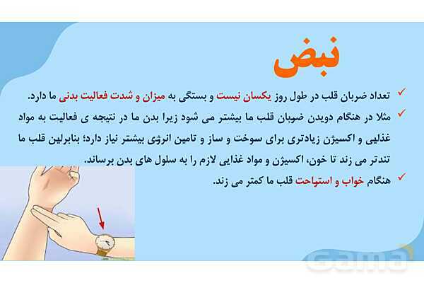 پاور درس 10 علوم چهارم | بدن ما- پیش نمایش