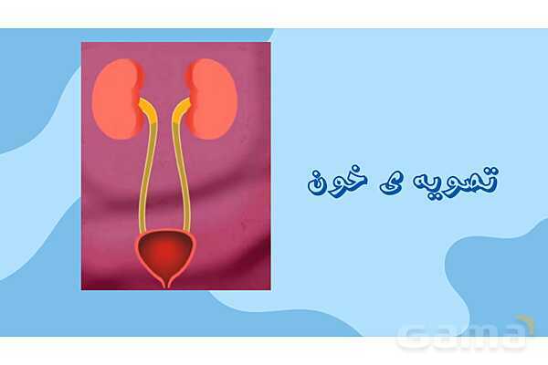 پاور درس 10 علوم چهارم | بدن ما- پیش نمایش