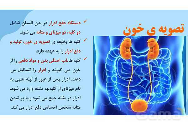 پاور درس 10 علوم چهارم | بدن ما- پیش نمایش