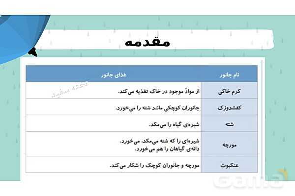 پاور درس 11 علوم چهارم | بی مهره‌ها- پیش نمایش
