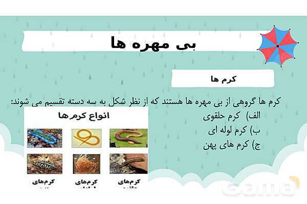پاور درس 11 علوم چهارم | بی مهره‌ها- پیش نمایش