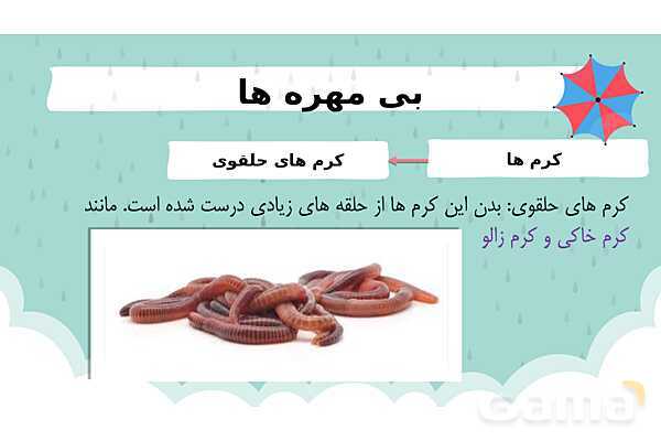 پاور درس 11 علوم چهارم | بی مهره‌ها- پیش نمایش
