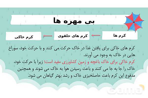 پاور درس 11 علوم چهارم | بی مهره‌ها- پیش نمایش