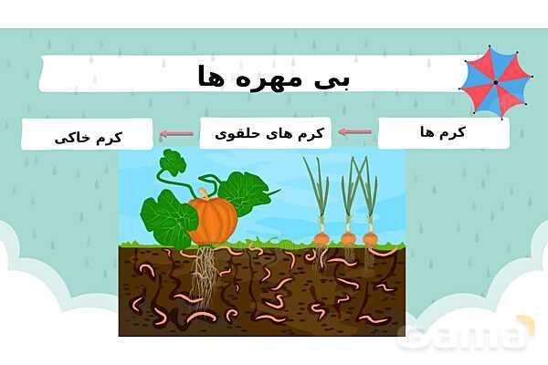 پاور درس 11 علوم چهارم | بی مهره‌ها- پیش نمایش