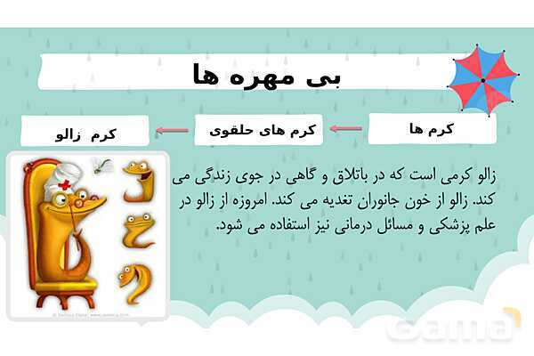 پاور درس 11 علوم چهارم | بی مهره‌ها- پیش نمایش