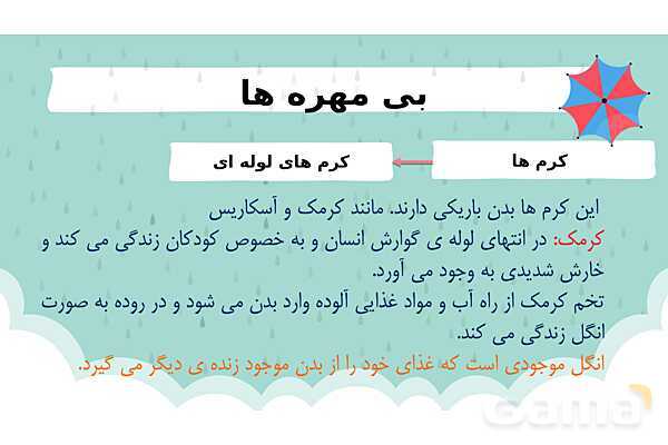 پاور درس 11 علوم چهارم | بی مهره‌ها- پیش نمایش