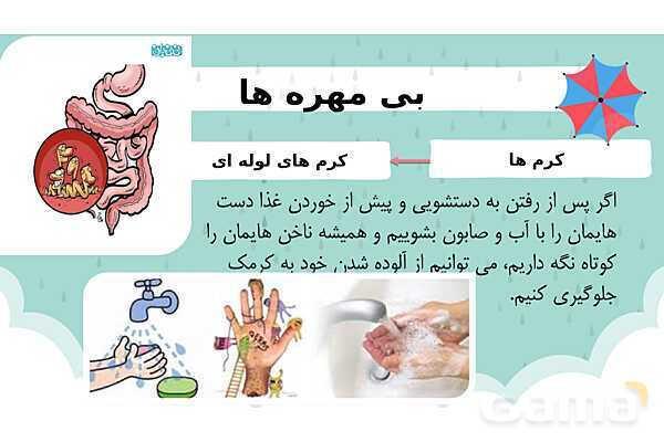 پاور درس 11 علوم چهارم | بی مهره‌ها- پیش نمایش