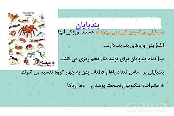 پاور درس 11 علوم چهارم | بی مهره‌ها- پیش نمایش