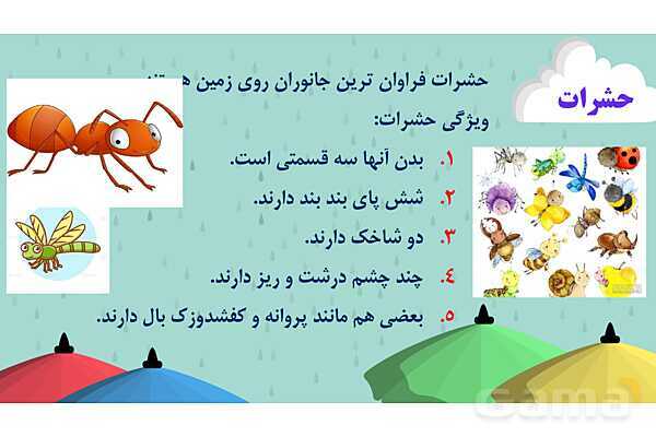پاور درس 11 علوم چهارم | بی مهره‌ها- پیش نمایش