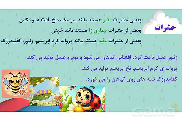 پاور درس 11 علوم چهارم | بی مهره‌ها- پیش نمایش