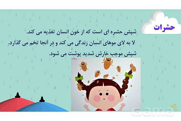 پاور درس 11 علوم چهارم | بی مهره‌ها- پیش نمایش