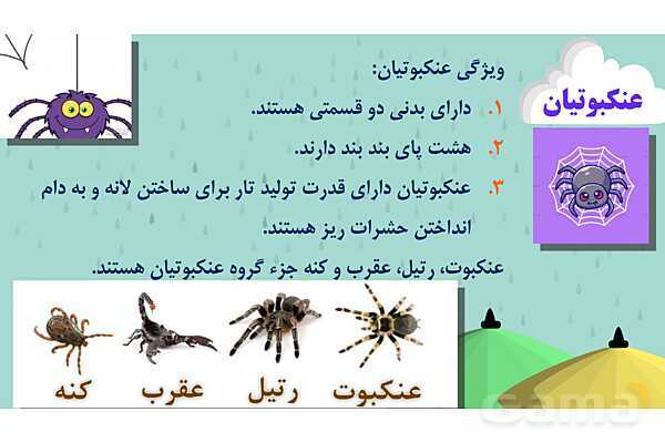 پاور درس 11 علوم چهارم | بی مهره‌ها- پیش نمایش