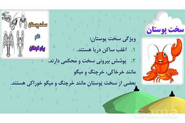 پاور درس 11 علوم چهارم | بی مهره‌ها- پیش نمایش