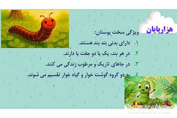 پاور درس 11 علوم چهارم | بی مهره‌ها- پیش نمایش
