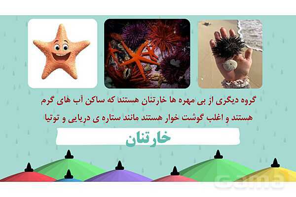 پاور درس 11 علوم چهارم | بی مهره‌ها- پیش نمایش