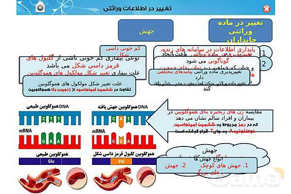 پاور تدریس زیست دوازدهم | فصل 4: تغییر در اطلاعات وراثتی (گفتار 1 تا 3) - پیش نمایش