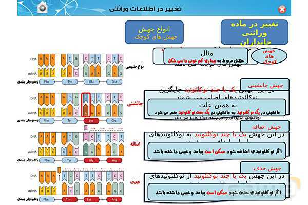 پاور تدریس زیست دوازدهم | فصل 4: تغییر در اطلاعات وراثتی (گفتار 1 تا 3) - پیش نمایش