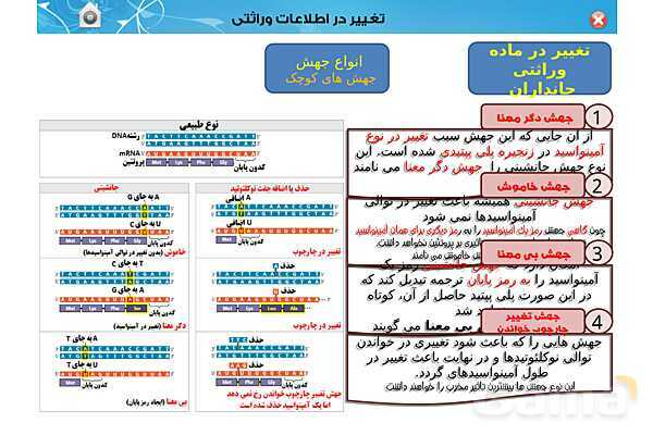پاور تدریس زیست دوازدهم | فصل 4: تغییر در اطلاعات وراثتی (گفتار 1 تا 3) - پیش نمایش