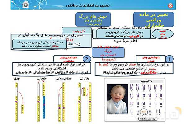 پاور تدریس زیست دوازدهم | فصل 4: تغییر در اطلاعات وراثتی (گفتار 1 تا 3) - پیش نمایش