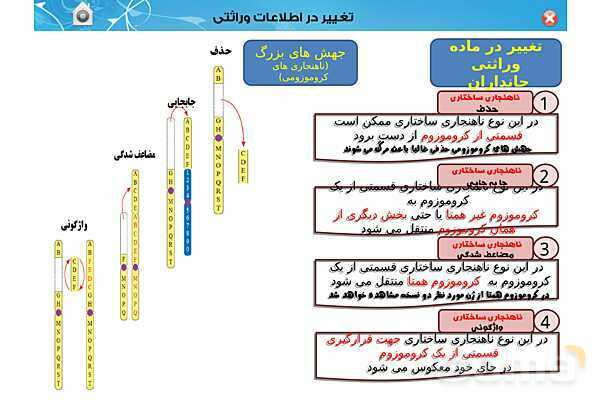 پاور تدریس زیست دوازدهم | فصل 4: تغییر در اطلاعات وراثتی (گفتار 1 تا 3) - پیش نمایش