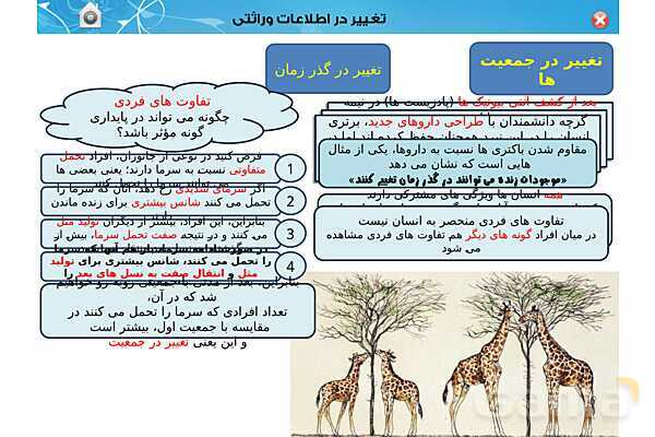 پاور تدریس زیست دوازدهم | فصل 4: تغییر در اطلاعات وراثتی (گفتار 1 تا 3) - پیش نمایش