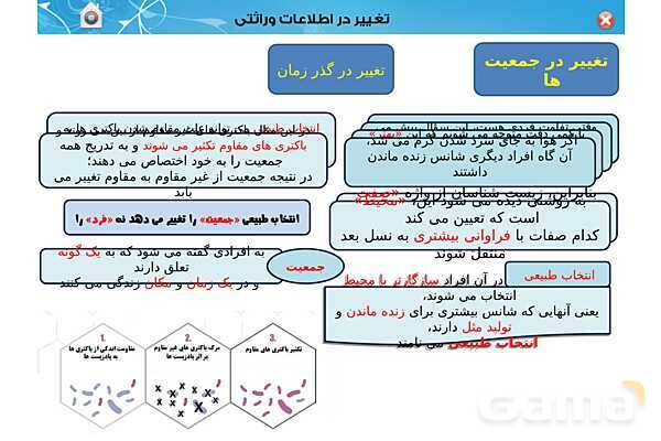 پاور تدریس زیست دوازدهم | فصل 4: تغییر در اطلاعات وراثتی (گفتار 1 تا 3) - پیش نمایش