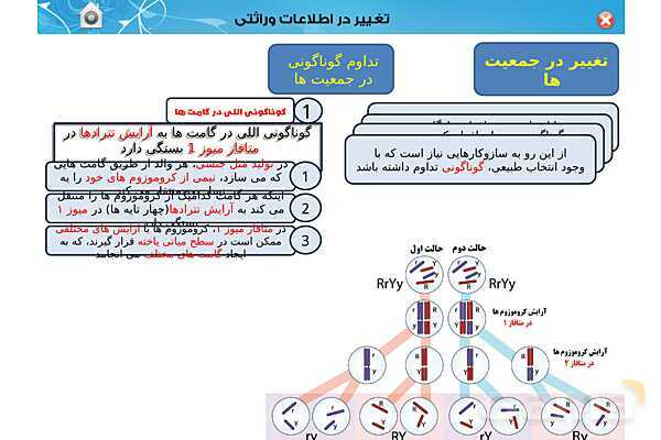 پاور تدریس زیست دوازدهم | فصل 4: تغییر در اطلاعات وراثتی (گفتار 1 تا 3) - پیش نمایش
