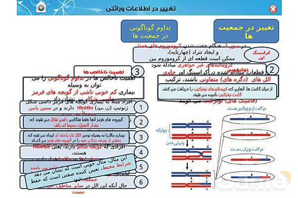 پاور تدریس زیست دوازدهم | فصل 4: تغییر در اطلاعات وراثتی (گفتار 1 تا 3) - پیش نمایش