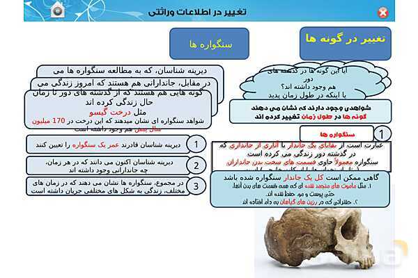 پاور تدریس زیست دوازدهم | فصل 4: تغییر در اطلاعات وراثتی (گفتار 1 تا 3) - پیش نمایش