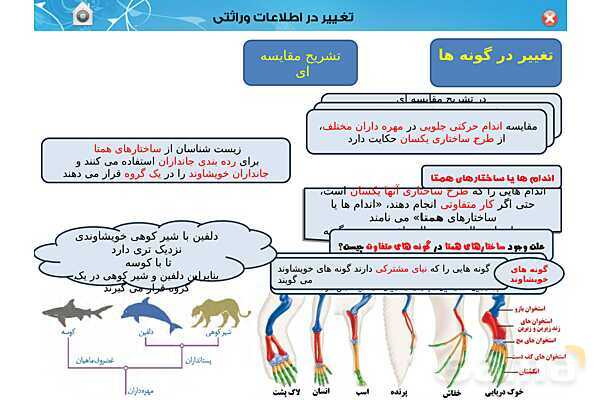 پاور تدریس زیست دوازدهم | فصل 4: تغییر در اطلاعات وراثتی (گفتار 1 تا 3) - پیش نمایش