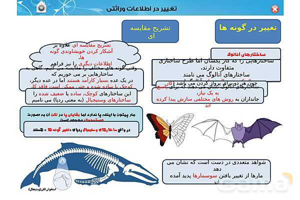 پاور تدریس زیست دوازدهم | فصل 4: تغییر در اطلاعات وراثتی (گفتار 1 تا 3) - پیش نمایش