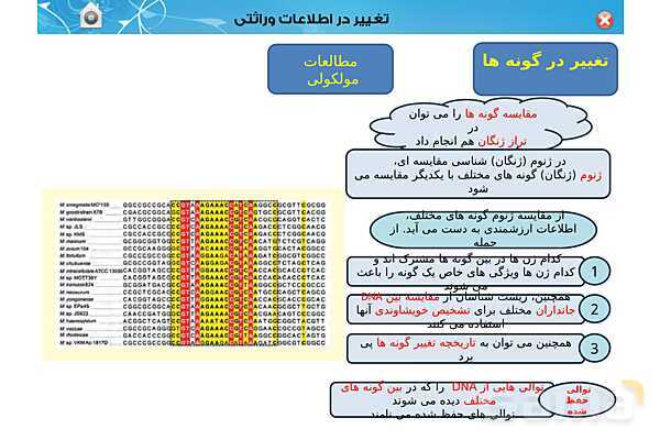 پاور تدریس زیست دوازدهم | فصل 4: تغییر در اطلاعات وراثتی (گفتار 1 تا 3) - پیش نمایش
