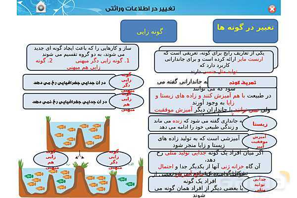 پاور تدریس زیست دوازدهم | فصل 4: تغییر در اطلاعات وراثتی (گفتار 1 تا 3) - پیش نمایش