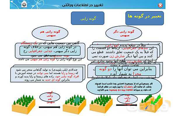 پاور تدریس زیست دوازدهم | فصل 4: تغییر در اطلاعات وراثتی (گفتار 1 تا 3) - پیش نمایش