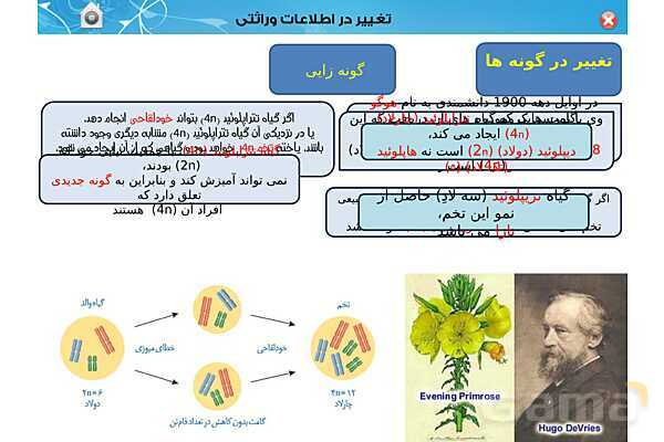 پاور تدریس زیست دوازدهم | فصل 4: تغییر در اطلاعات وراثتی (گفتار 1 تا 3) - پیش نمایش