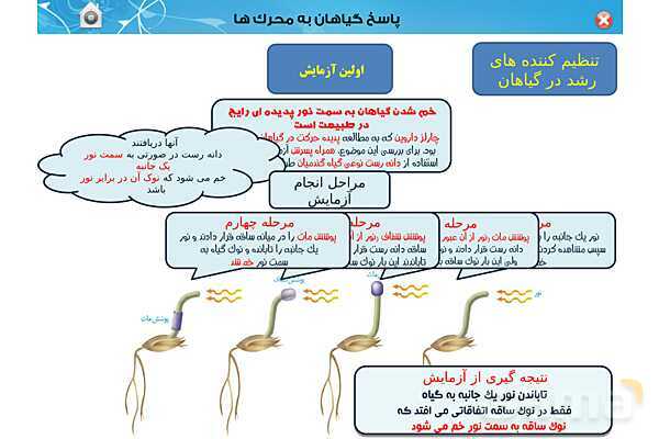 پاورپوینت تدریس زیست یازدهم | فصل 9: پاسخ گیاهان به محرک ها (گفتار 1 و 2) - پیش نمایش