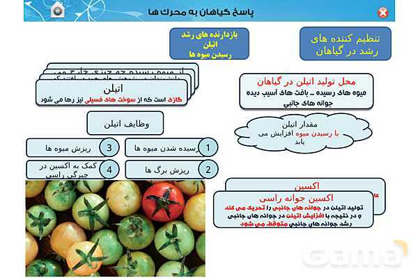 پاورپوینت تدریس زیست یازدهم | فصل 9: پاسخ گیاهان به محرک ها (گفتار 1 و 2) - پیش نمایش