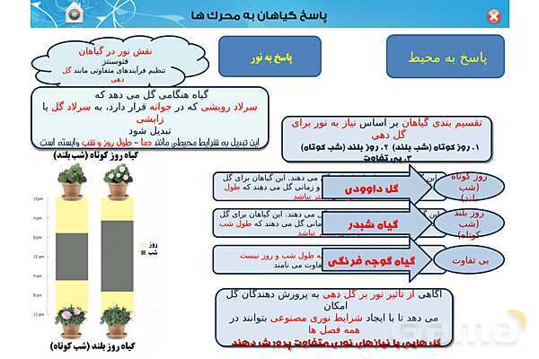 پاورپوینت تدریس زیست یازدهم | فصل 9: پاسخ گیاهان به محرک ها (گفتار 1 و 2) - پیش نمایش