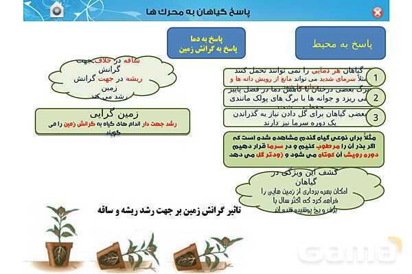 پاورپوینت تدریس زیست یازدهم | فصل 9: پاسخ گیاهان به محرک ها (گفتار 1 و 2) - پیش نمایش