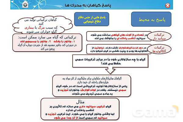 پاورپوینت تدریس زیست یازدهم | فصل 9: پاسخ گیاهان به محرک ها (گفتار 1 و 2) - پیش نمایش