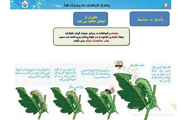 پاورپوینت تدریس زیست یازدهم | فصل 9: پاسخ گیاهان به محرک ها (گفتار 1 و 2) - پیش نمایش