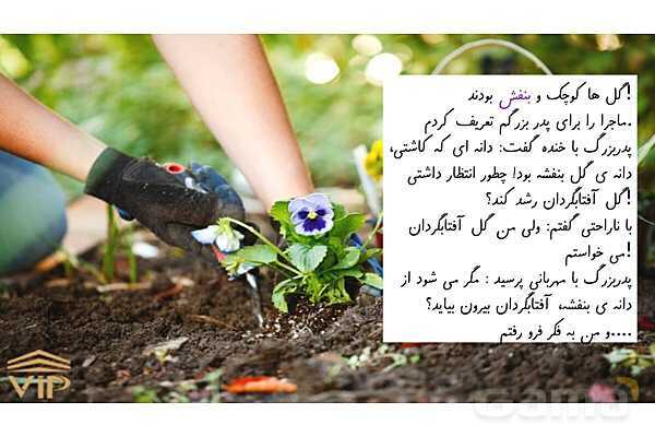 پاورپوینت درس 19 هدیه سوم ابتدایی | گندم از گندم بروید- پیش نمایش