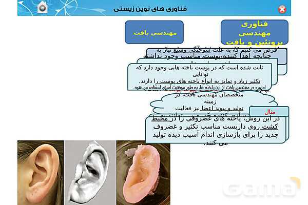 پاور تدریس زیست دوازدهم | فصل 7: فناوری های نوین زیستی (گفتار 1 تا 3)- پیش نمایش